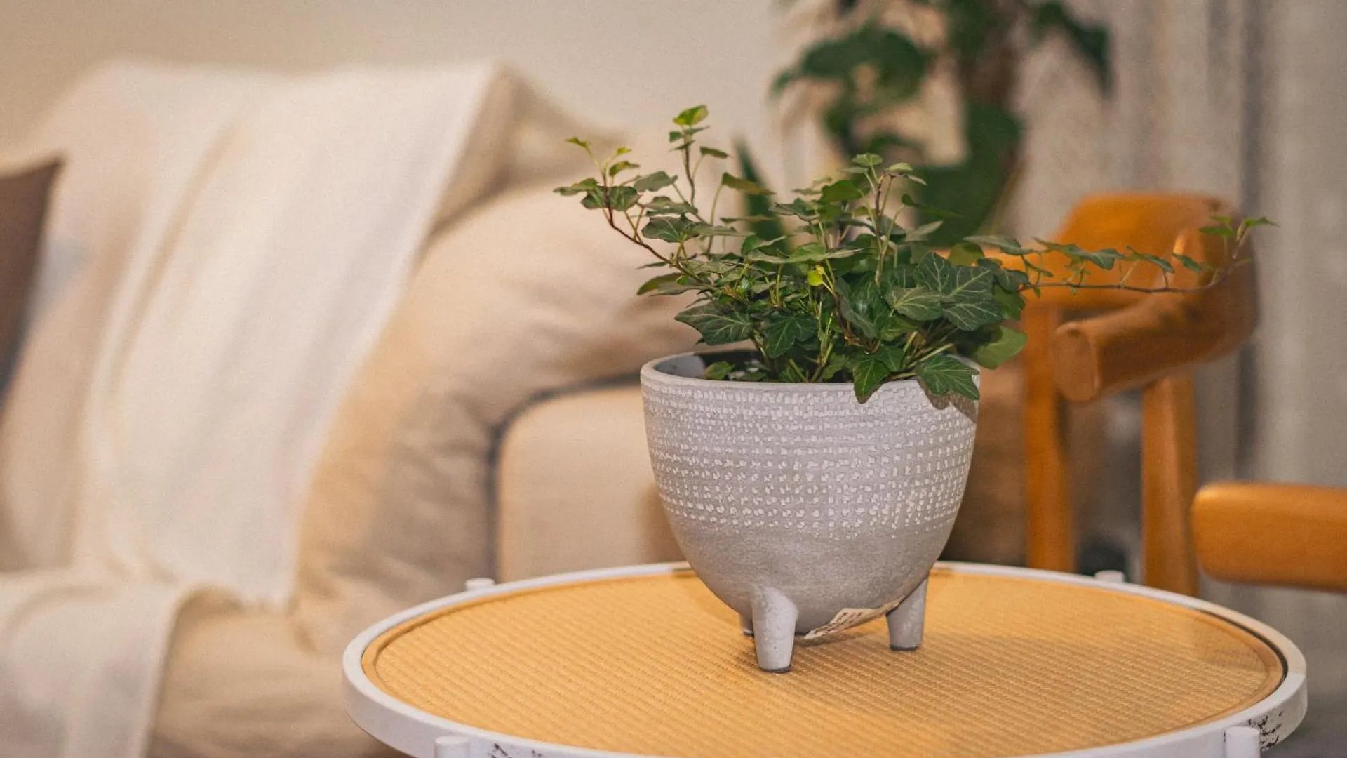 Elegant Boho Style Studio Haven Abu Dabi Apartamento